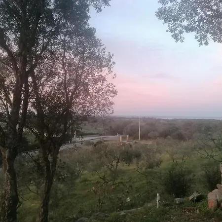 Apartment Panorama