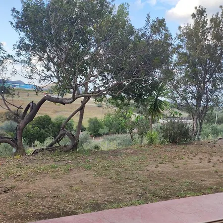 Panorama *